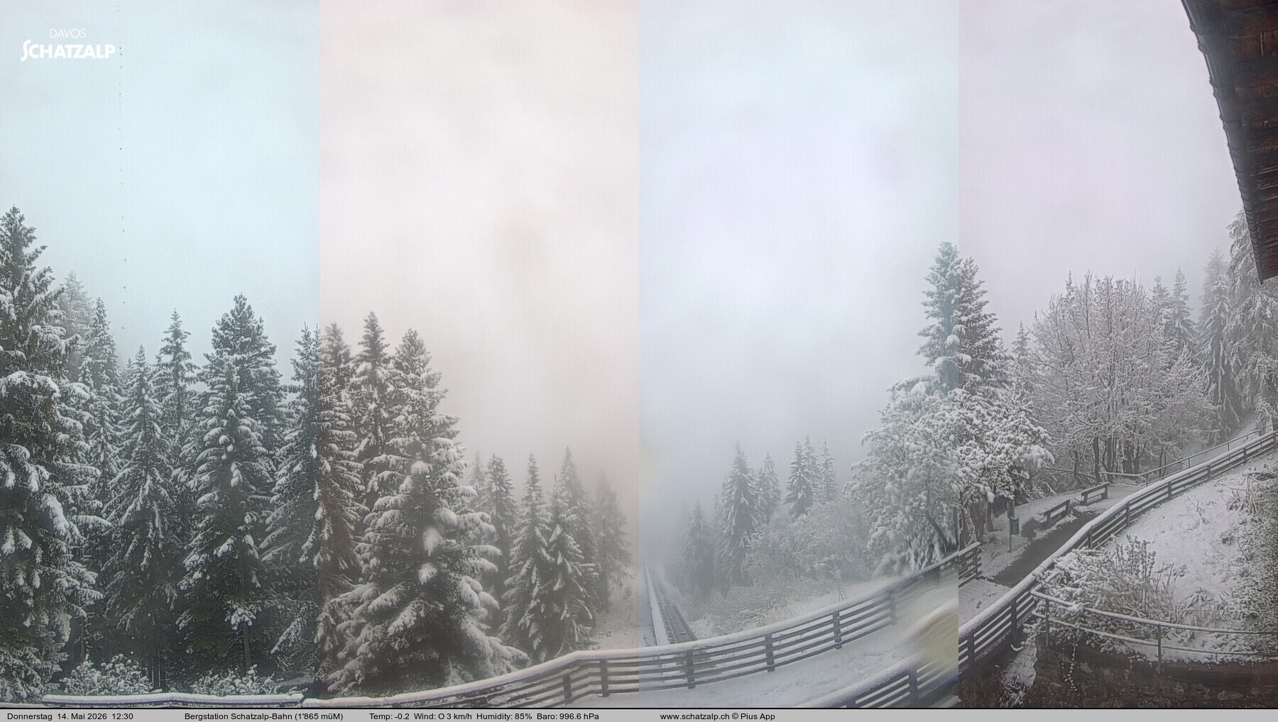 Archiv Foto Webcam Schatzalp
