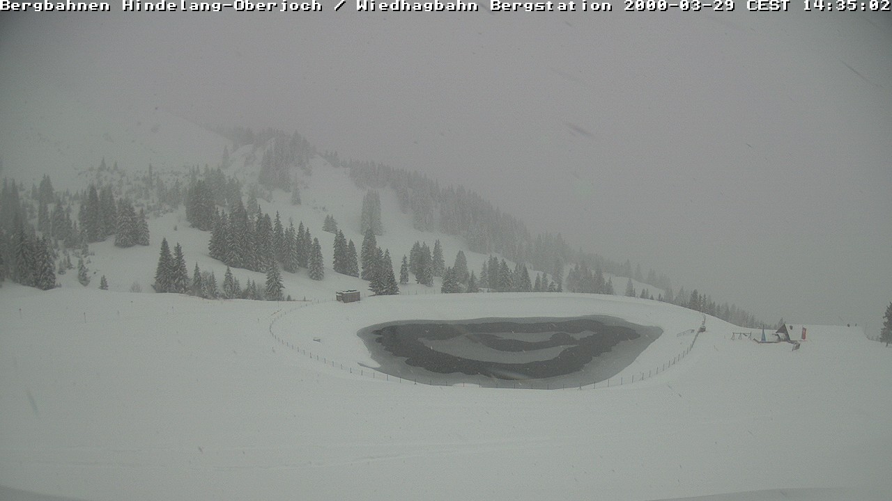 Archiv Foto Webcam Bad Hindelang - Bergstation Wiedhag Alpe
