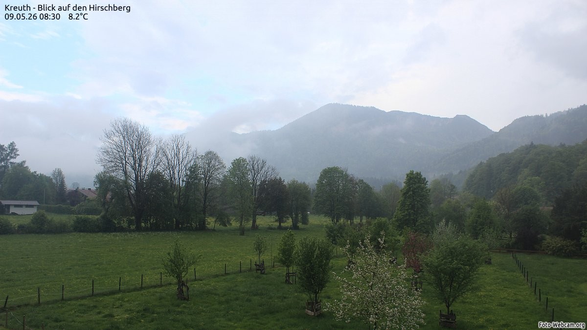 Archiv Foto Webcam in Klamm bei Kreuth