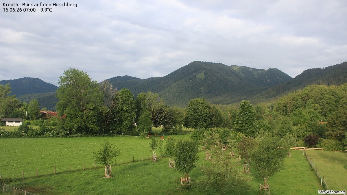 Archiv Foto Webcam in Klamm bei Kreuth