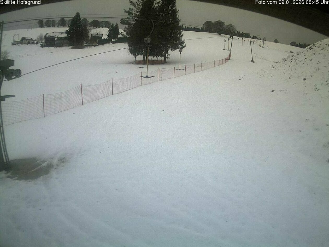 Archived image Webcam Dobelsee in Hofsgrund