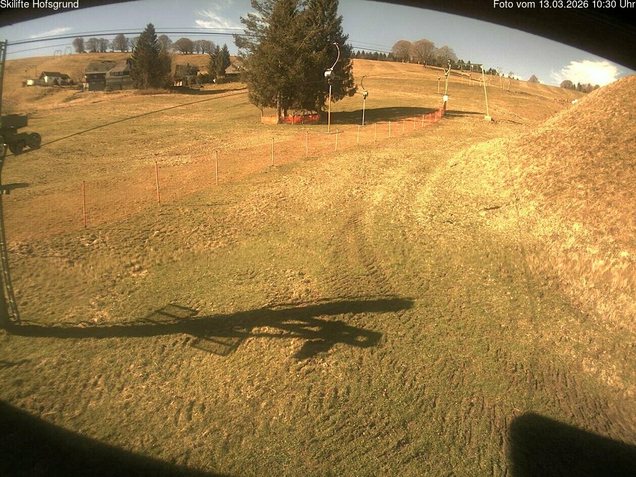 Archiv Foto Webcam Hofsgrund: Dobelsee