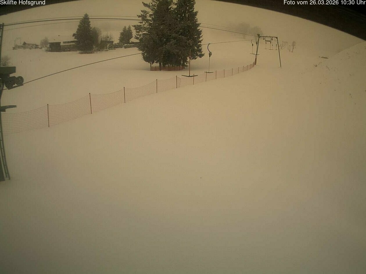 Archived image Webcam Dobelsee in Hofsgrund