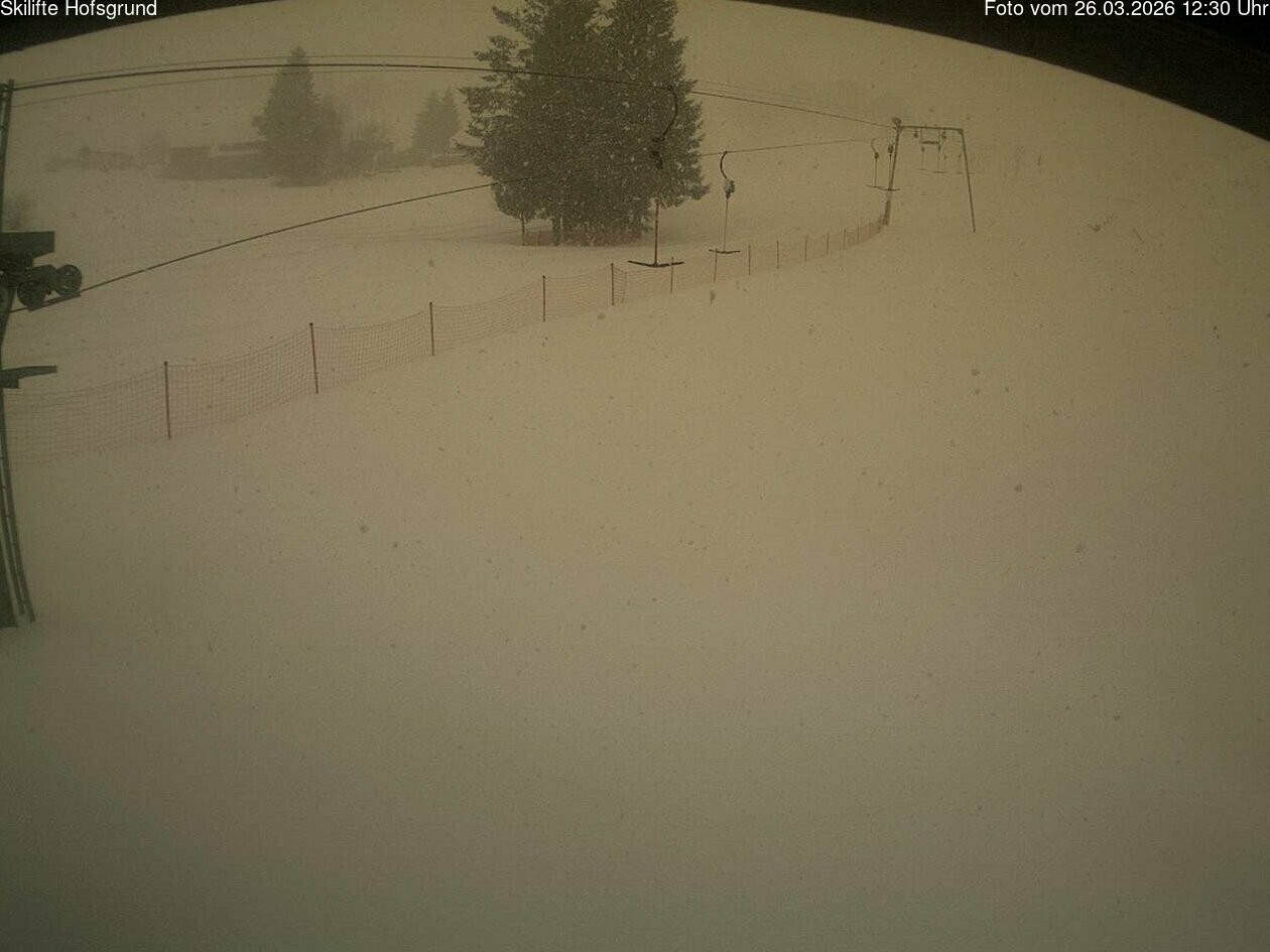 Archived image Webcam Dobelsee in Hofsgrund