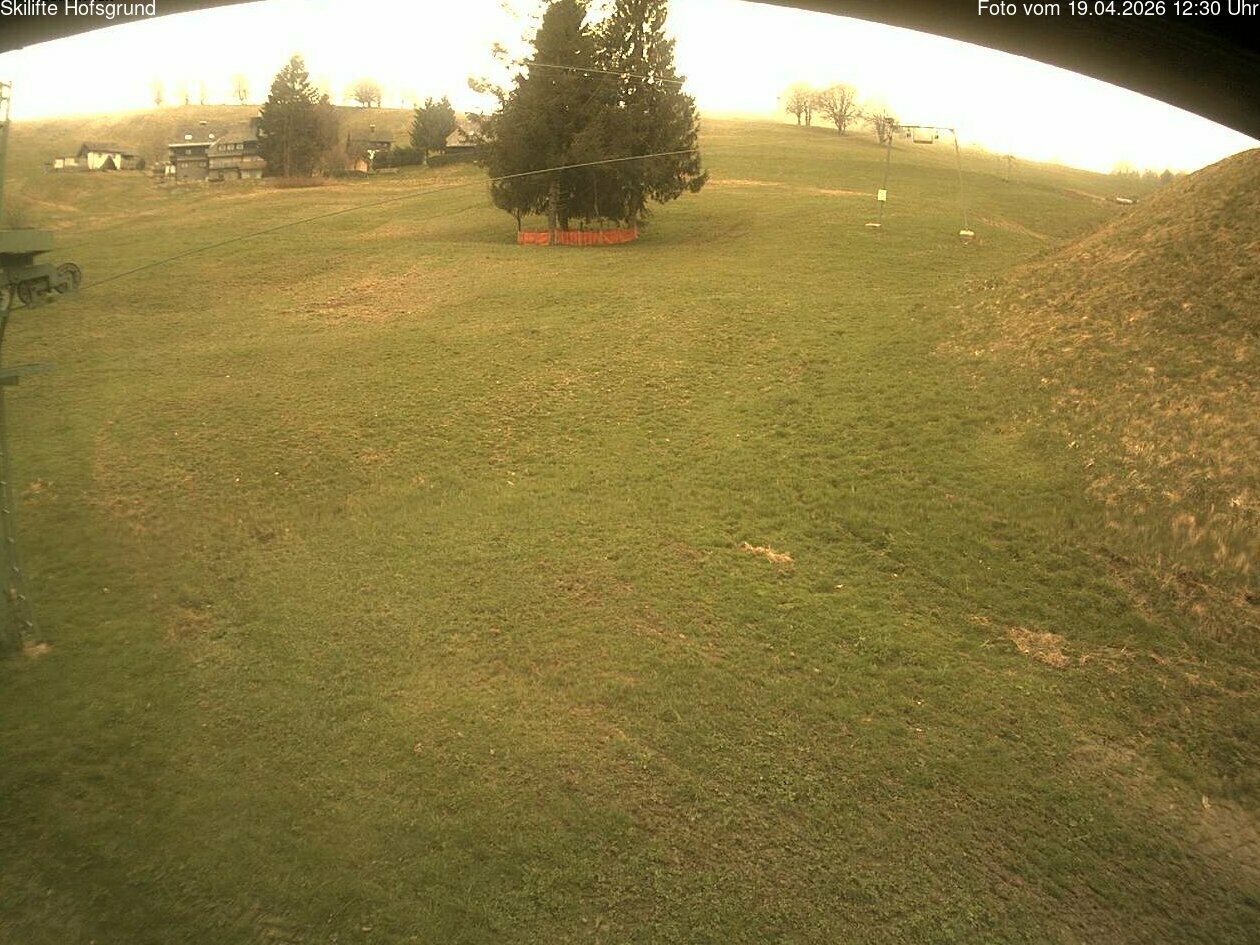 Archiv Foto Webcam Hofsgrund: Dobelsee