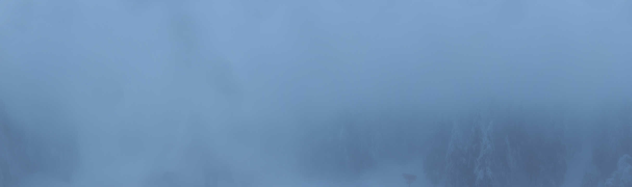 Archived image Webcam Hochficht Panorama