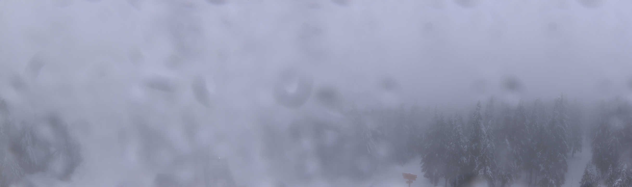 Archived image Webcam Hochficht Panorama