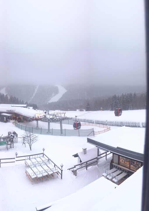 Archiv Foto Webcam Reischlberg Hochficht