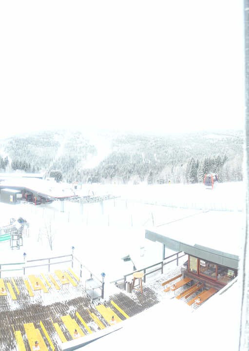 Archiv Foto Webcam Reischlberg Hochficht