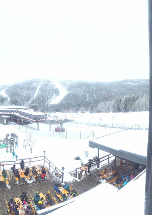 Archiv Foto Webcam Reischlberg Hochficht