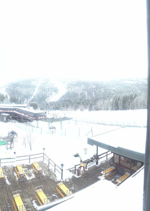 Archiv Foto Webcam Reischlberg Hochficht