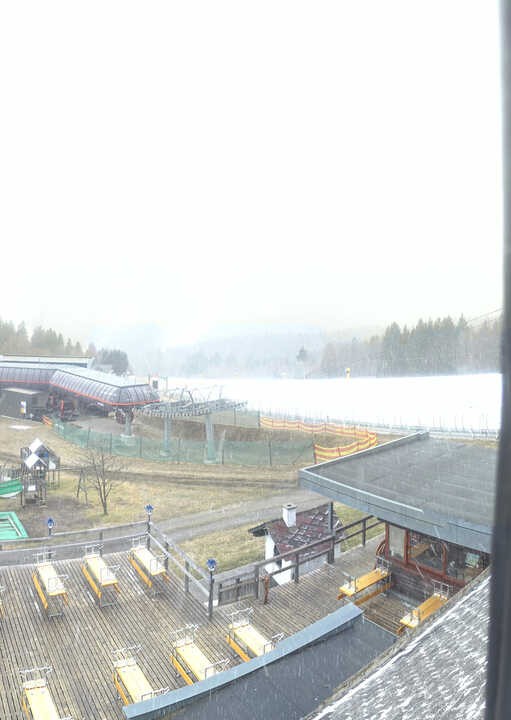 Archived image Webcam Reischlberg Hochficht