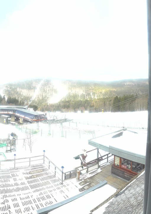 Archived image Webcam Reischlberg Hochficht