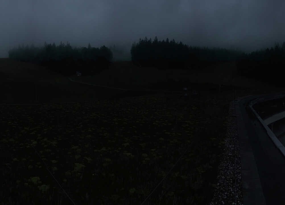 Archiv Foto Webcam Hochficht Reischlberg Talstation