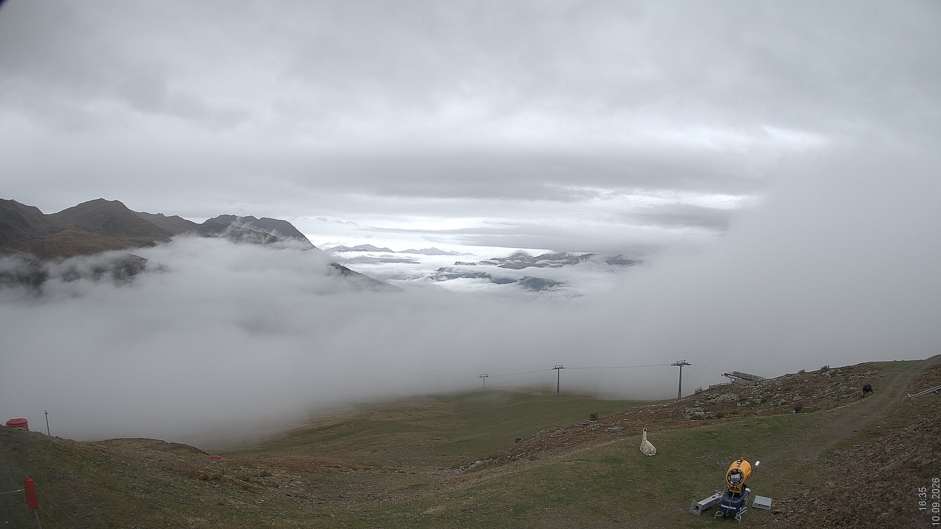 Archiv Foto Webcam Blick vom Rojen - Vinschgau