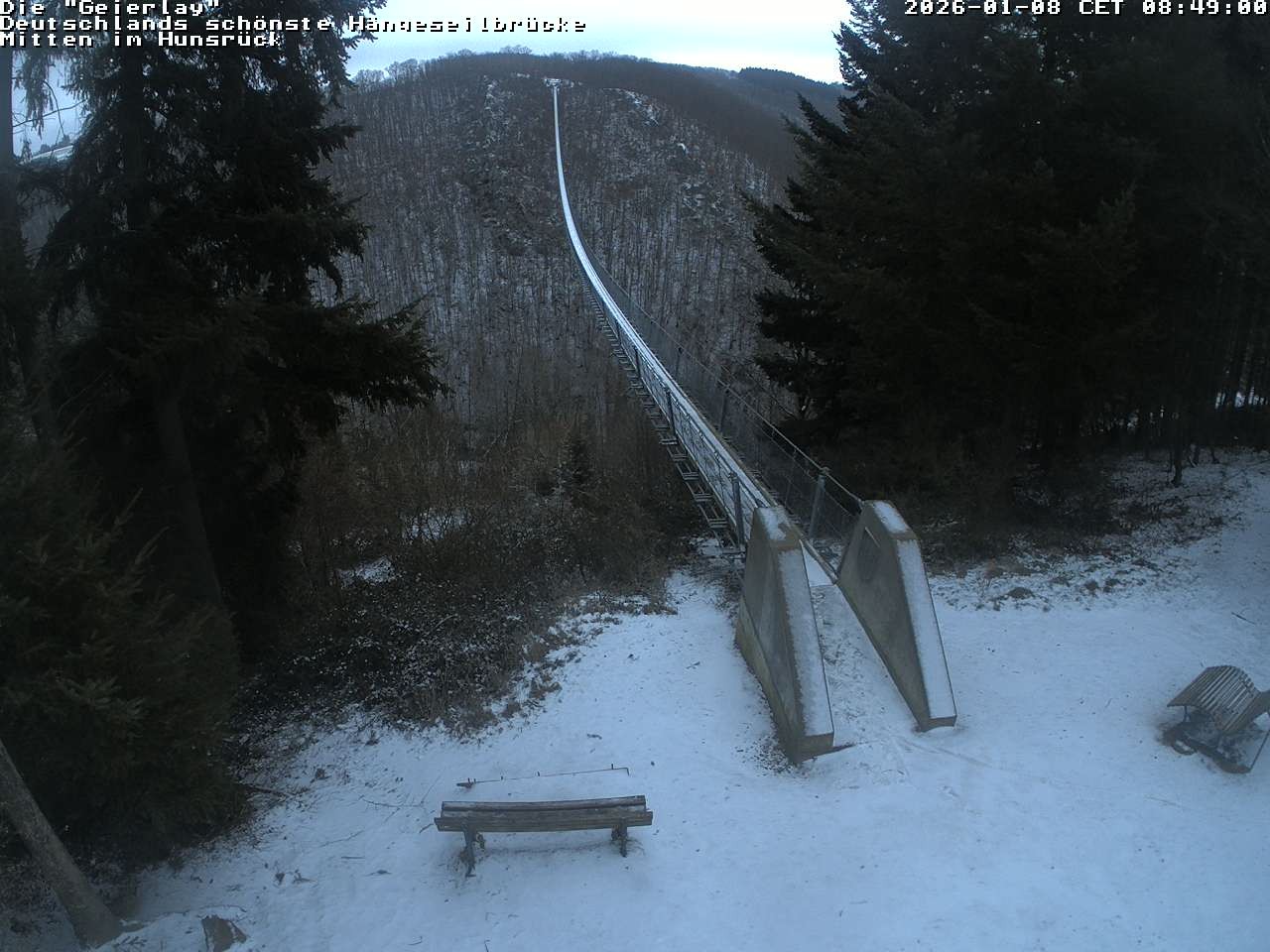 Archiv Foto Webcam Hängebrücke Geierlay bei Mörsdorf