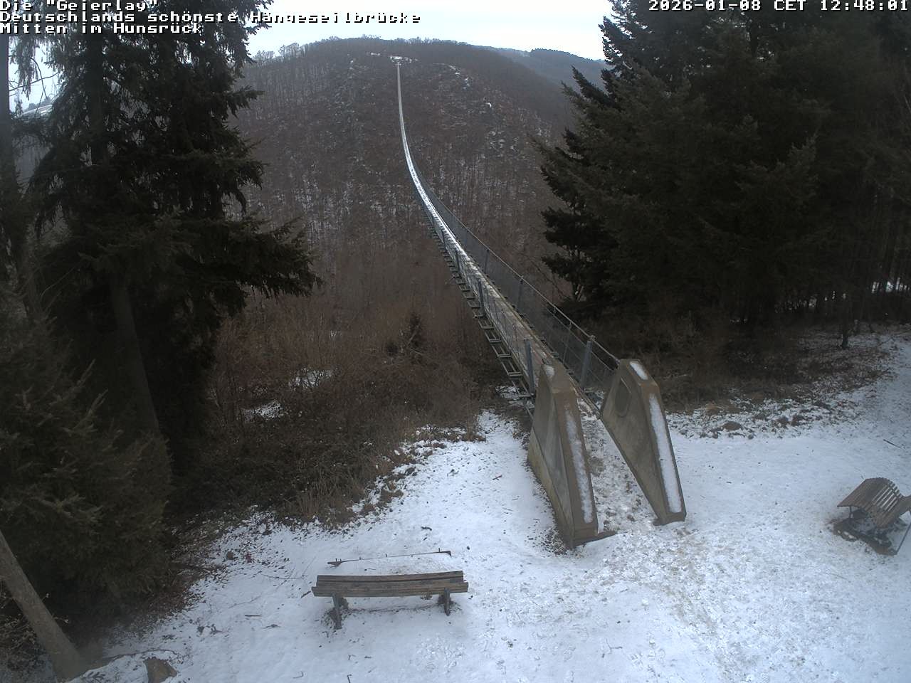 Archiv Foto Webcam Hängebrücke Geierlay bei Mörsdorf