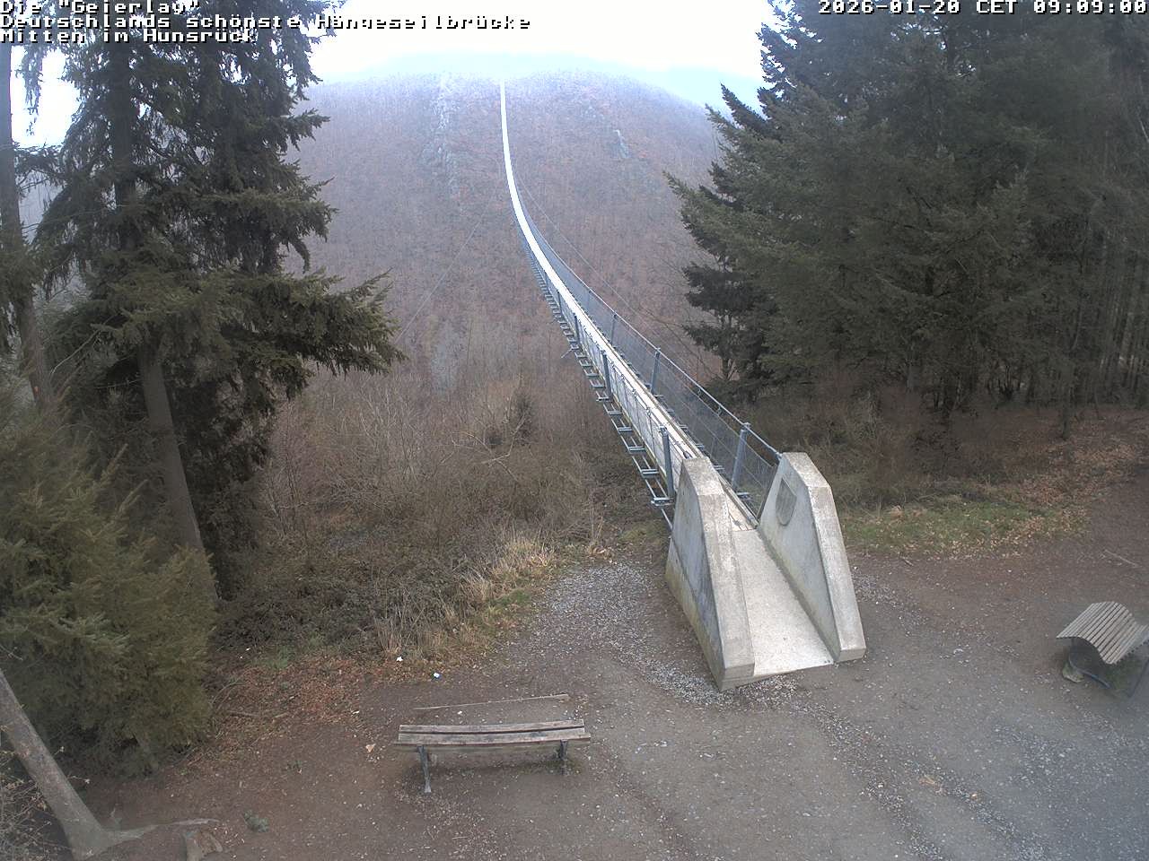 Archiv Foto Webcam Hängebrücke Geierlay bei Mörsdorf