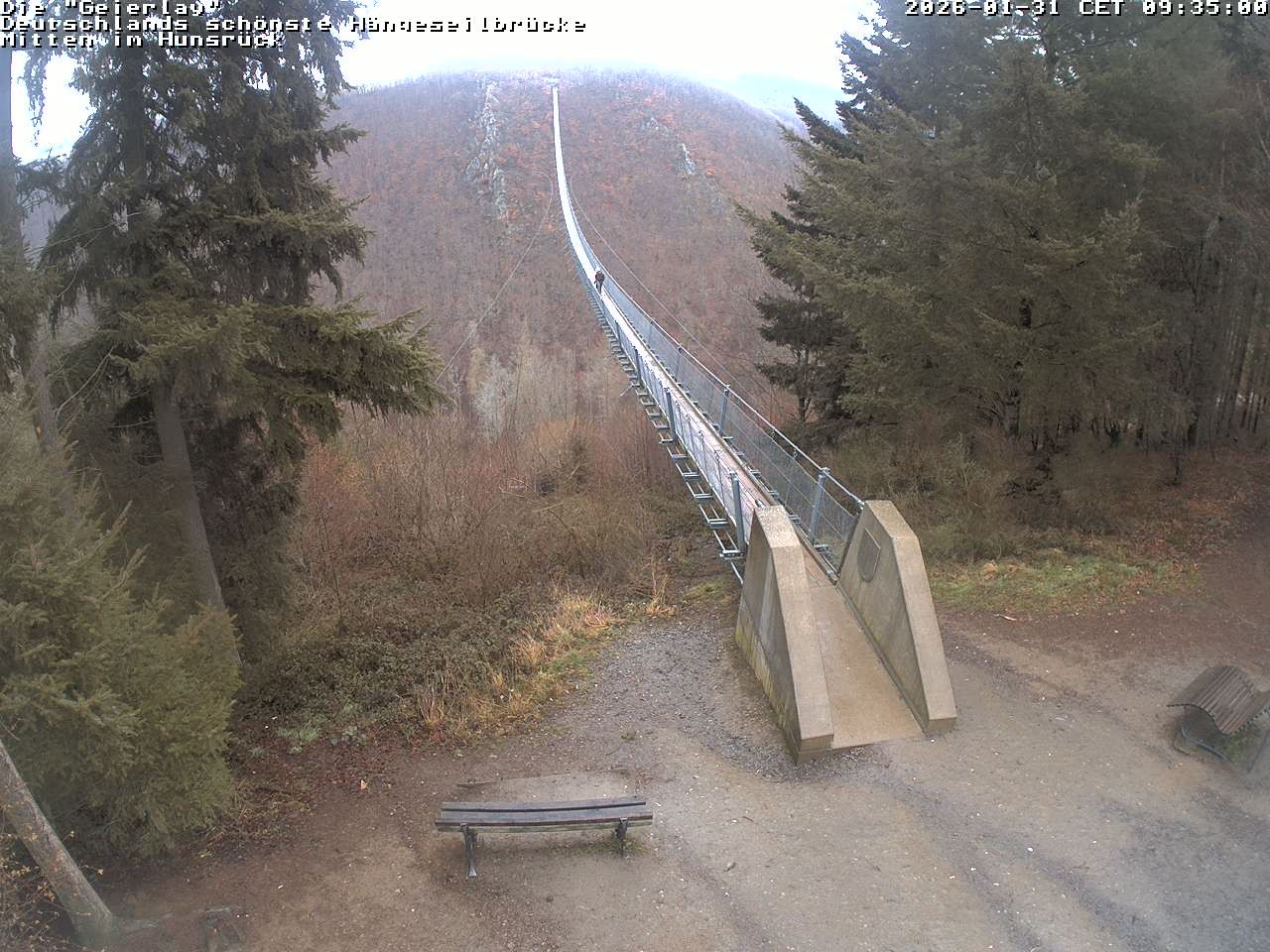 Archiv Foto Webcam Hängebrücke Geierlay bei Mörsdorf