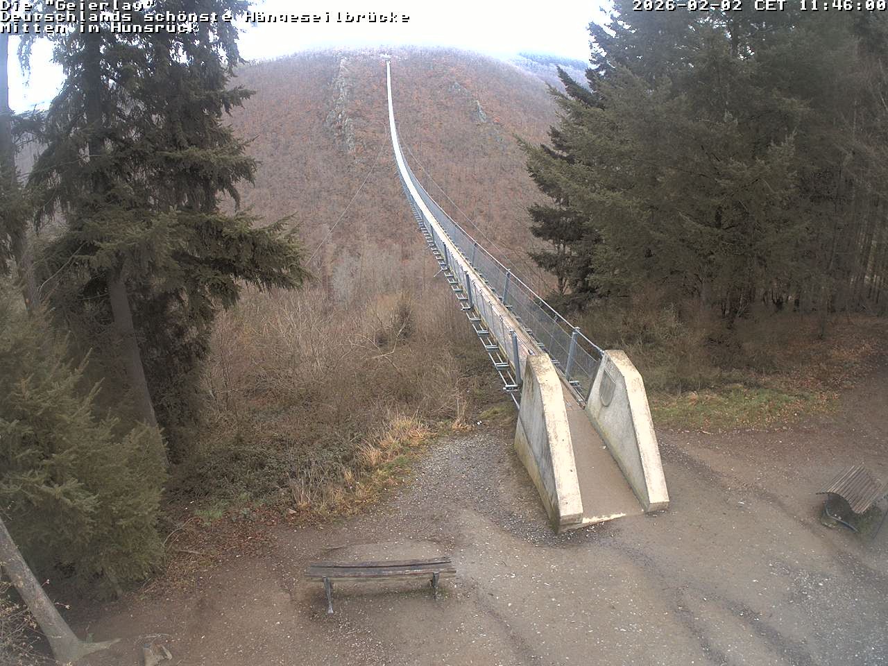 Archiv Foto Webcam Hängebrücke Geierlay bei Mörsdorf
