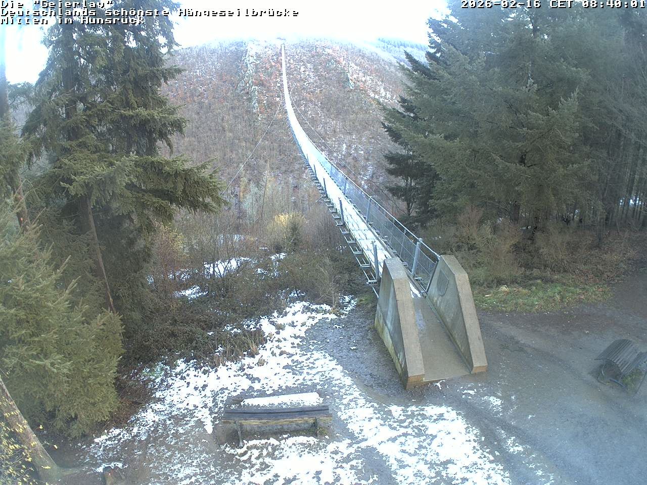 Archiv Foto Webcam Hängebrücke Geierlay bei Mörsdorf