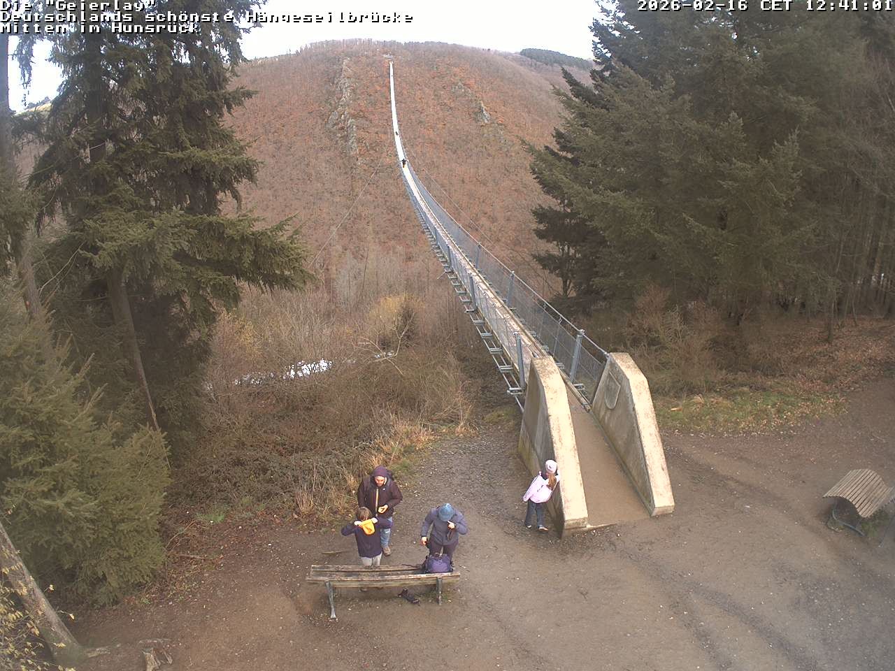 Archiv Foto Webcam Hängebrücke Geierlay bei Mörsdorf