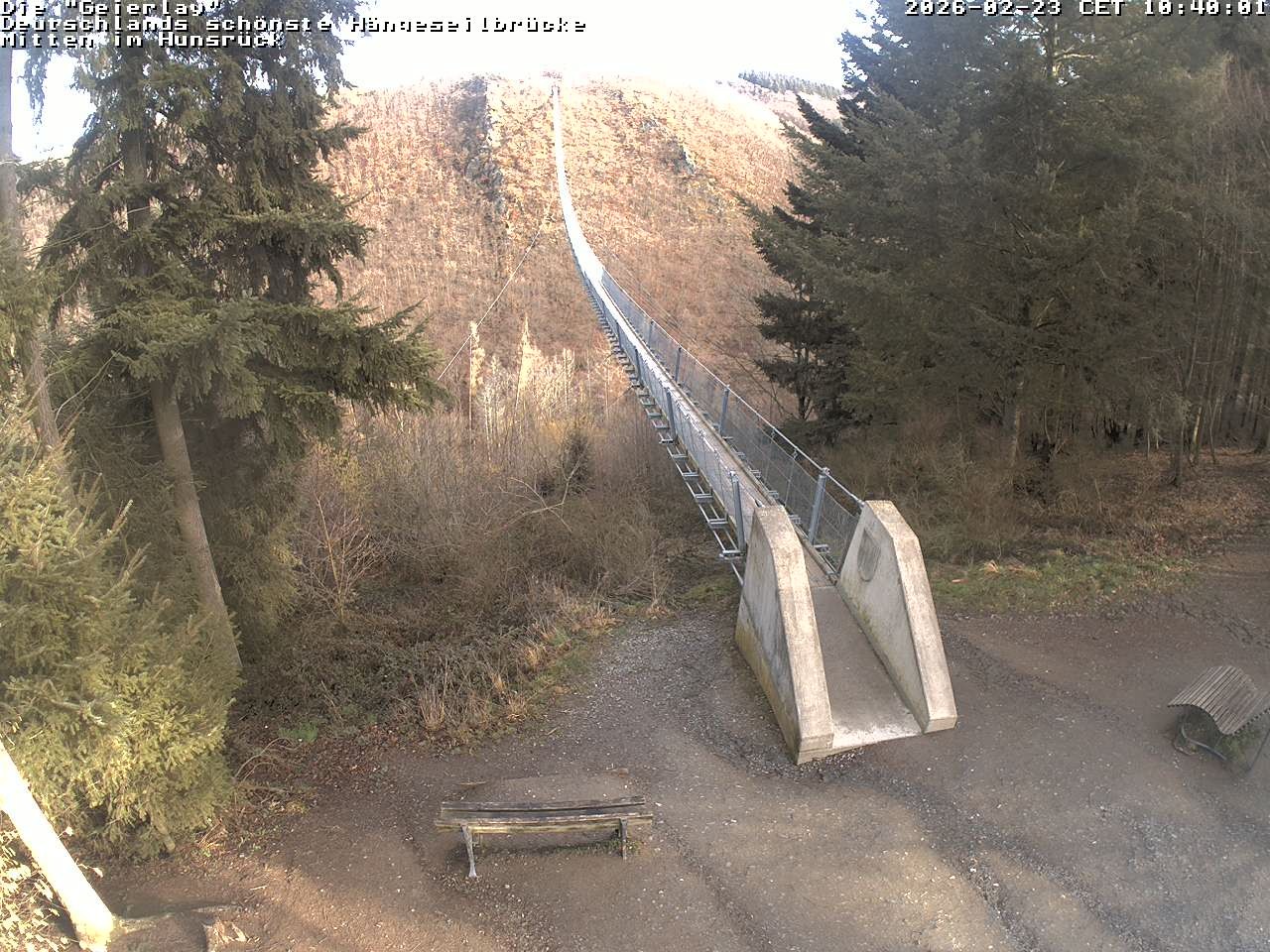 Archiv Foto Webcam Hängebrücke Geierlay bei Mörsdorf