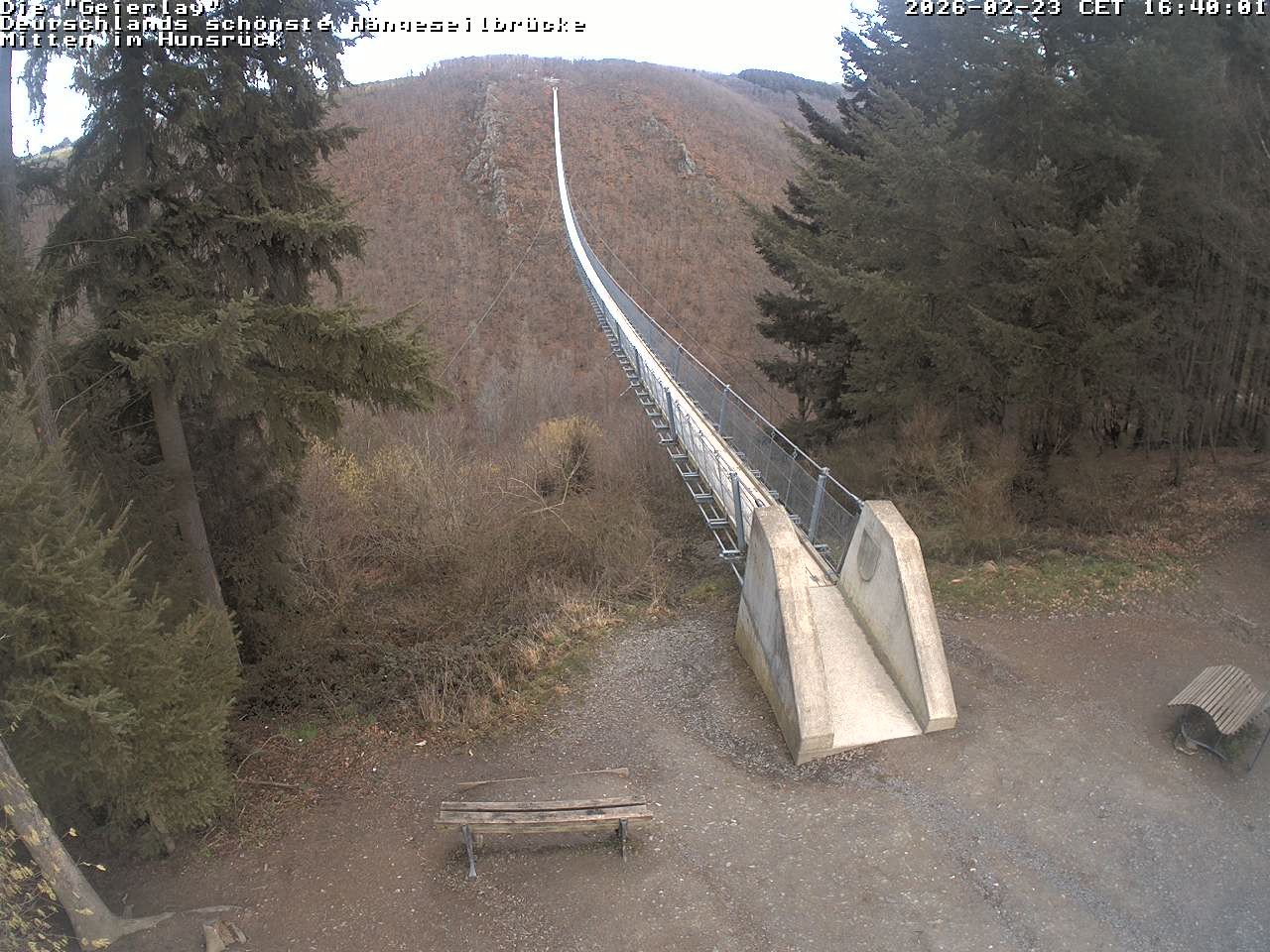 Archiv Foto Webcam Hängebrücke Geierlay bei Mörsdorf