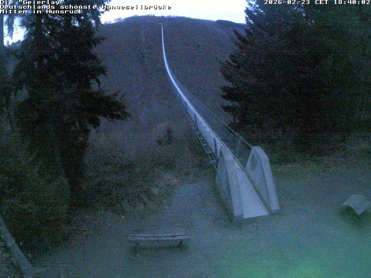 Archiv Foto Webcam Hängebrücke Geierlay bei Mörsdorf