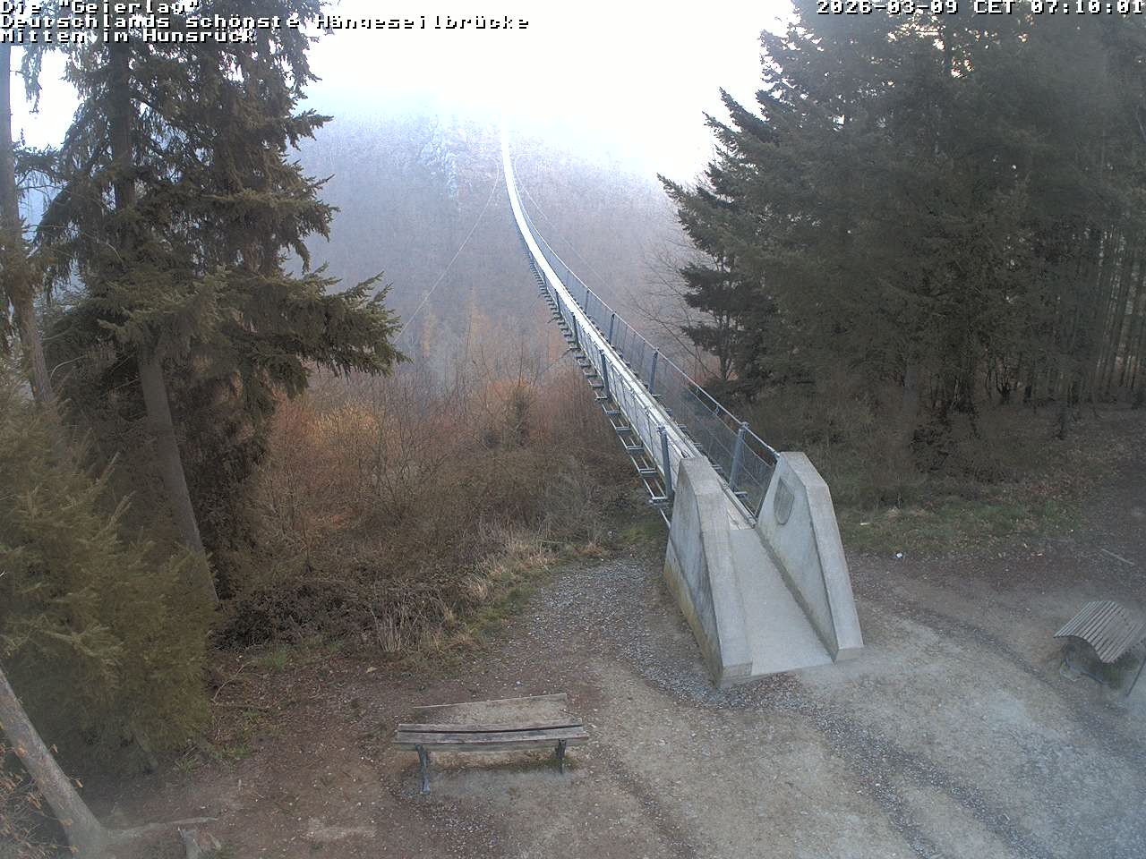Archiv Foto Webcam Hängebrücke Geierlay bei Mörsdorf