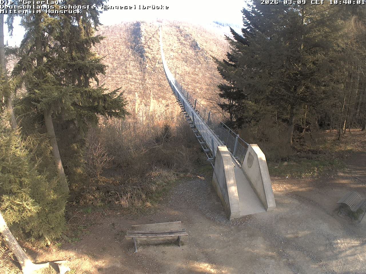 Archiv Foto Webcam Hängebrücke Geierlay bei Mörsdorf