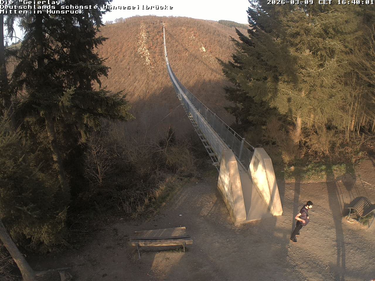 Archiv Foto Webcam Hängebrücke Geierlay bei Mörsdorf