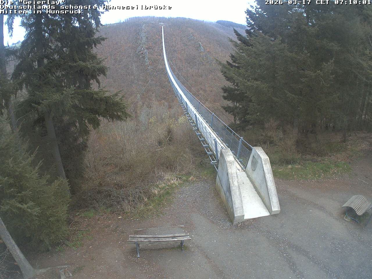 Archiv Foto Webcam Hängebrücke Geierlay bei Mörsdorf