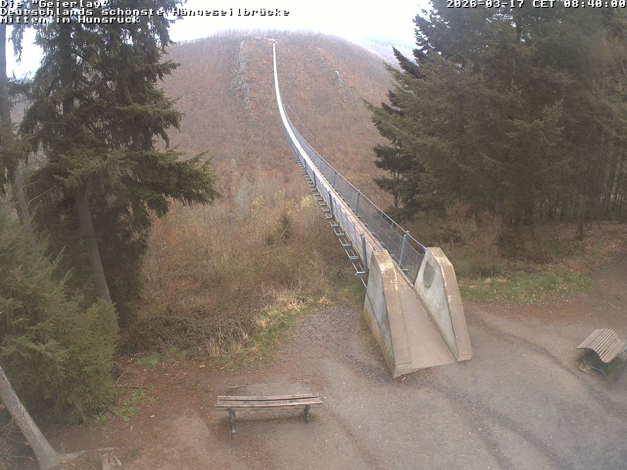 Archiv Foto Webcam Hängebrücke Geierlay bei Mörsdorf