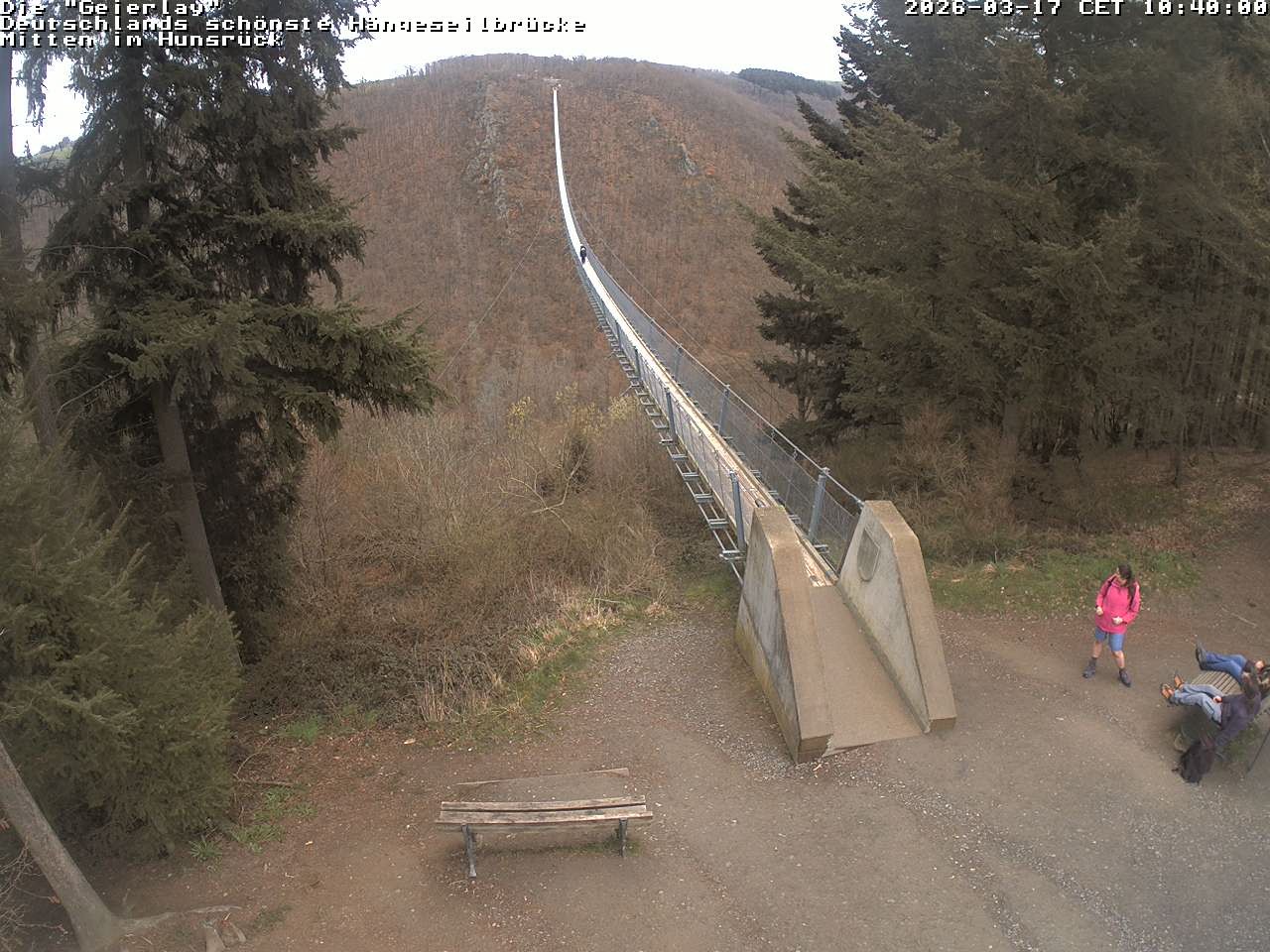 Archiv Foto Webcam Hängebrücke Geierlay bei Mörsdorf