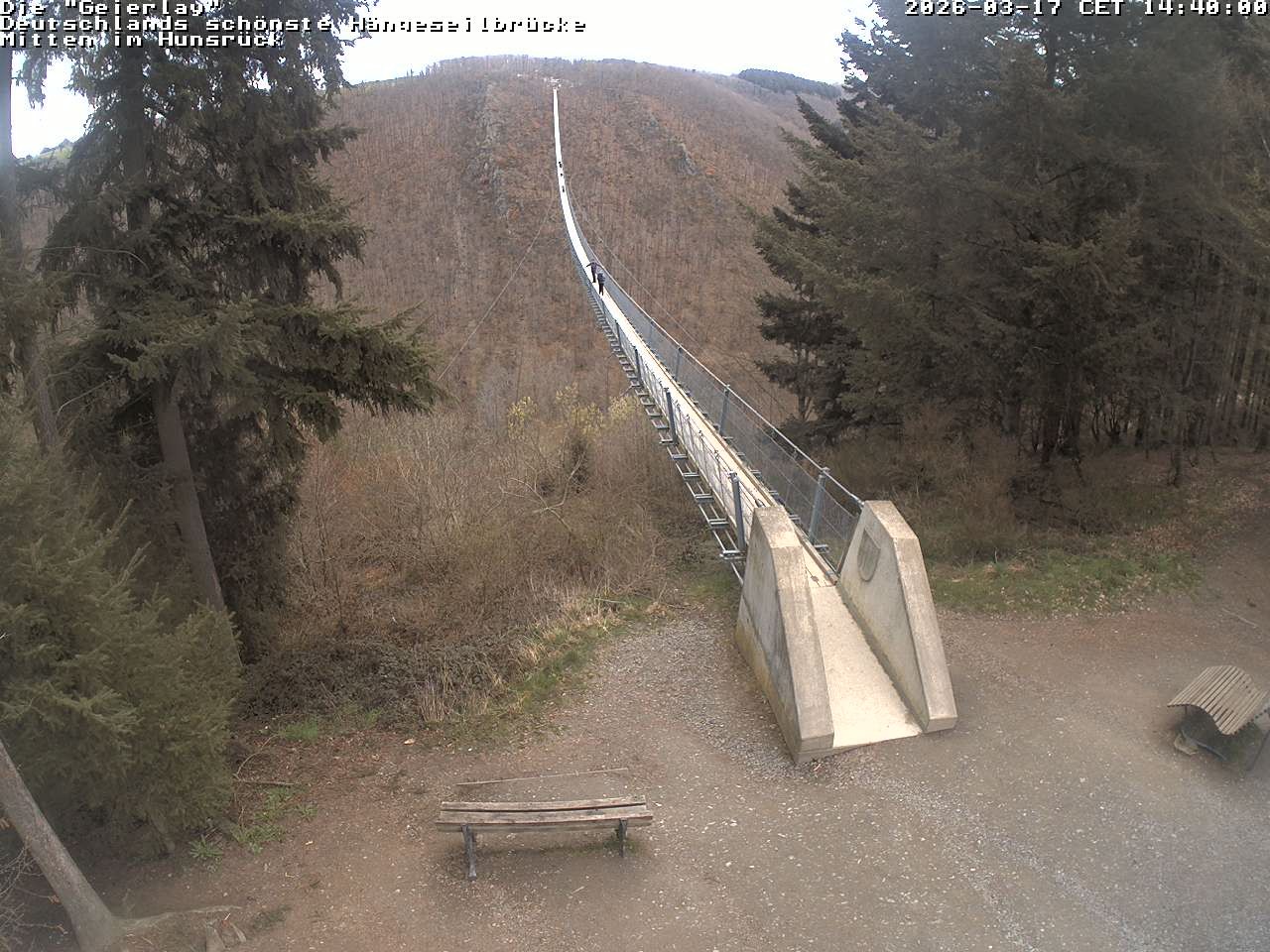 Archived image Webcam Geierlay Suspension Bridge Mörsdorf