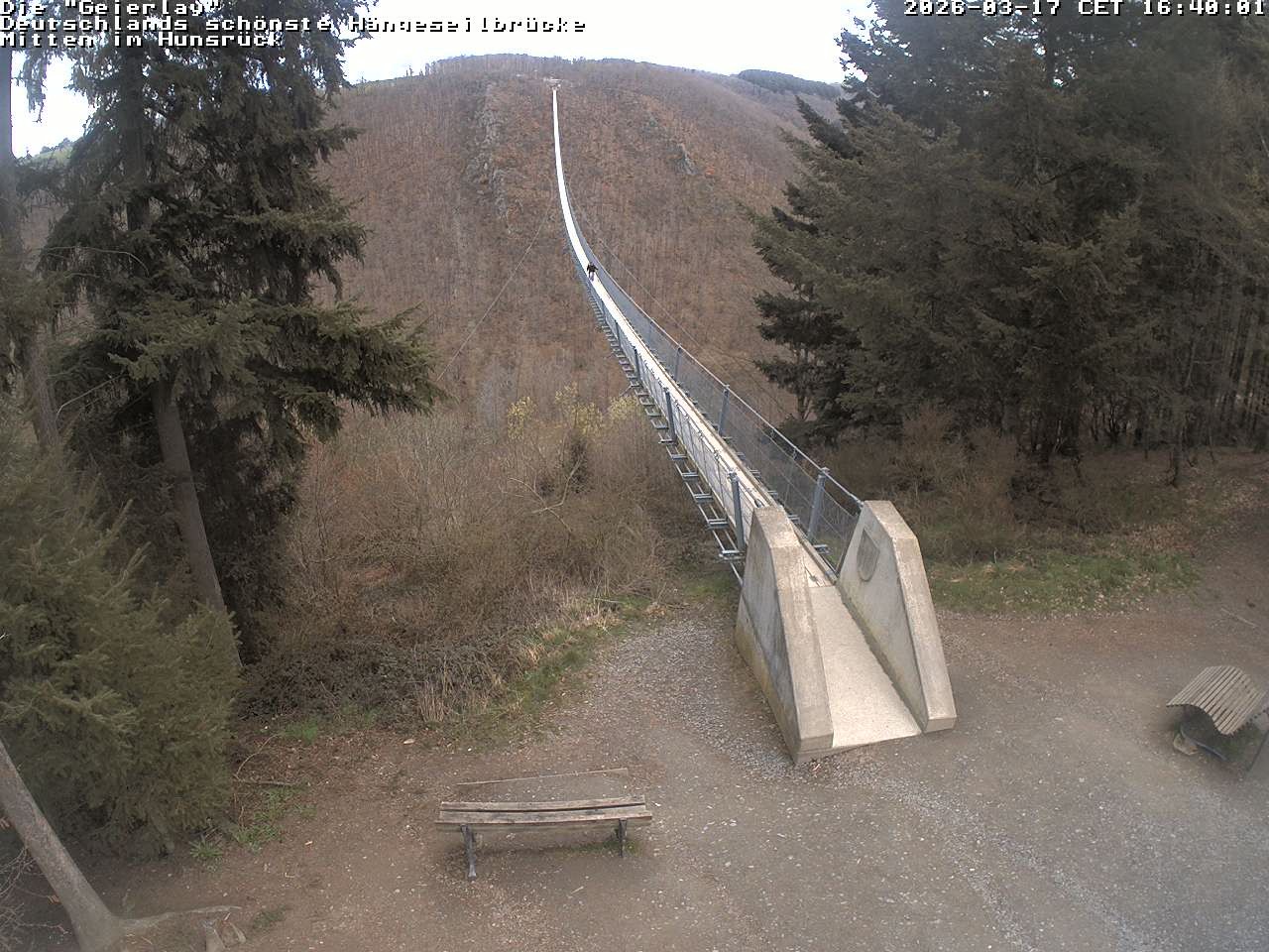 Archiv Foto Webcam Hängebrücke Geierlay bei Mörsdorf