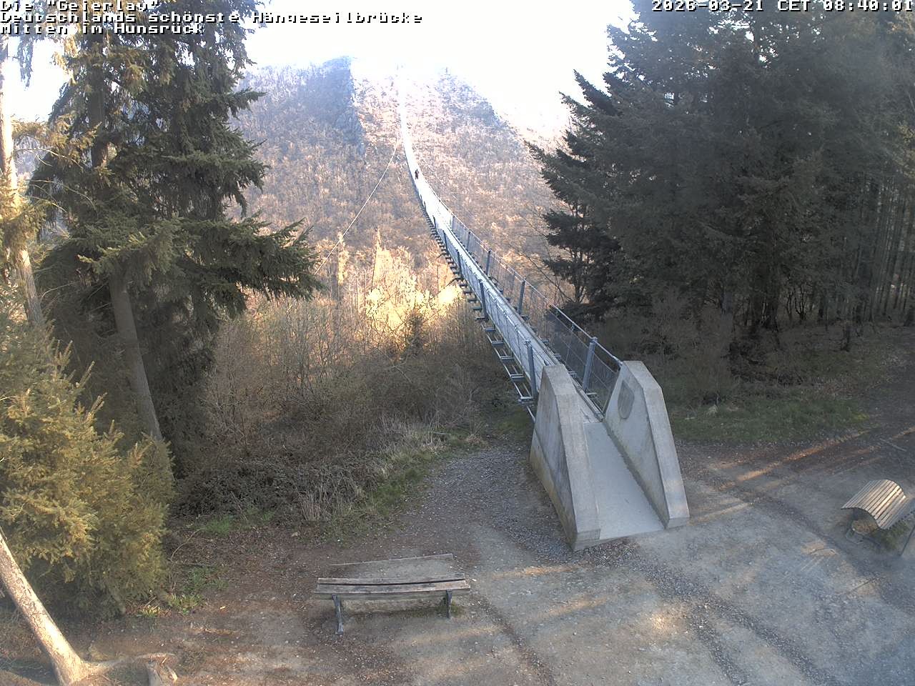 Archiv Foto Webcam Hängebrücke Geierlay bei Mörsdorf