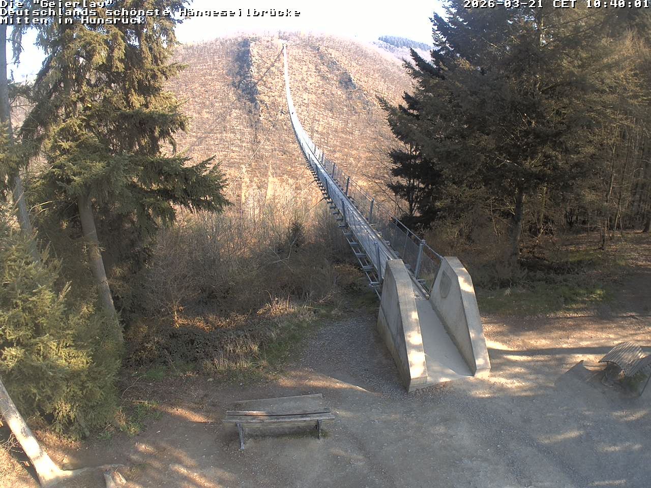 Archiv Foto Webcam Hängebrücke Geierlay bei Mörsdorf