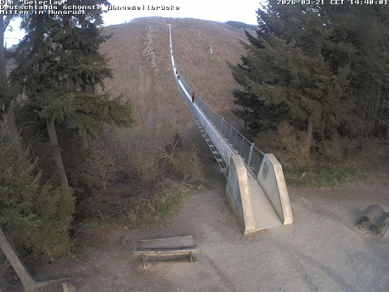 Archiv Foto Webcam Hängebrücke Geierlay bei Mörsdorf