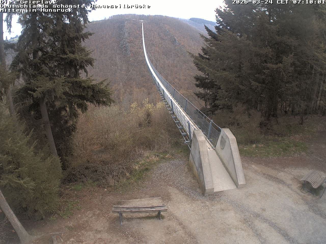 Archiv Foto Webcam Hängebrücke Geierlay bei Mörsdorf