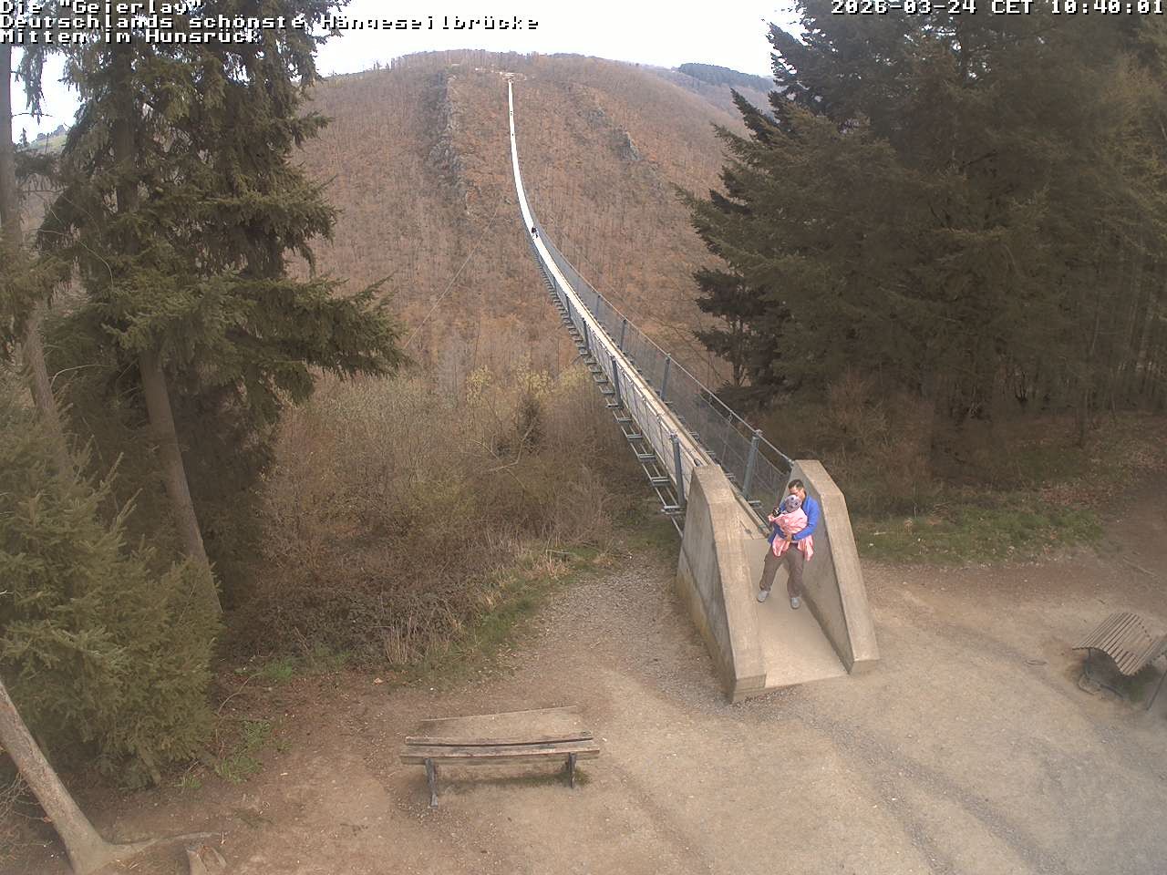 Archiv Foto Webcam Hängebrücke Geierlay bei Mörsdorf