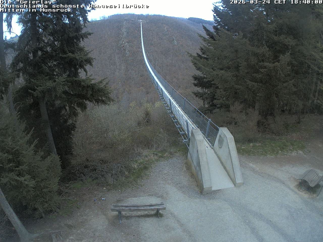 Archiv Foto Webcam Hängebrücke Geierlay bei Mörsdorf