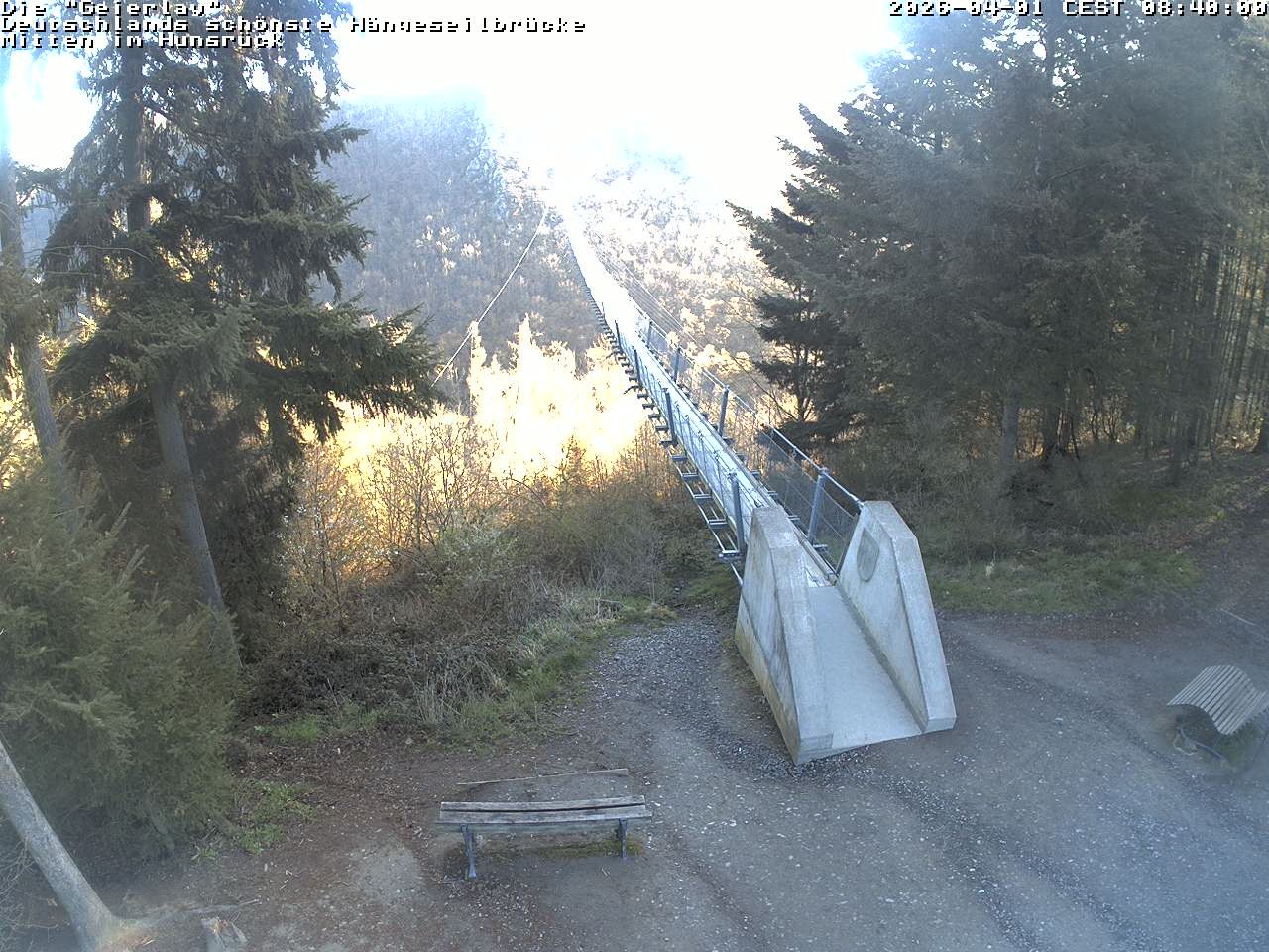 Archiv Foto Webcam Hängebrücke Geierlay bei Mörsdorf