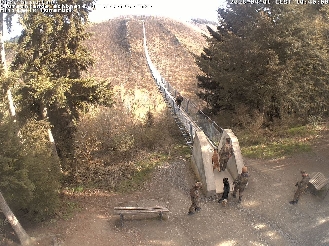 Archiv Foto Webcam Hängebrücke Geierlay bei Mörsdorf