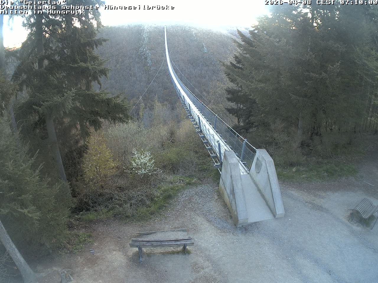 Archiv Foto Webcam Hängebrücke Geierlay bei Mörsdorf