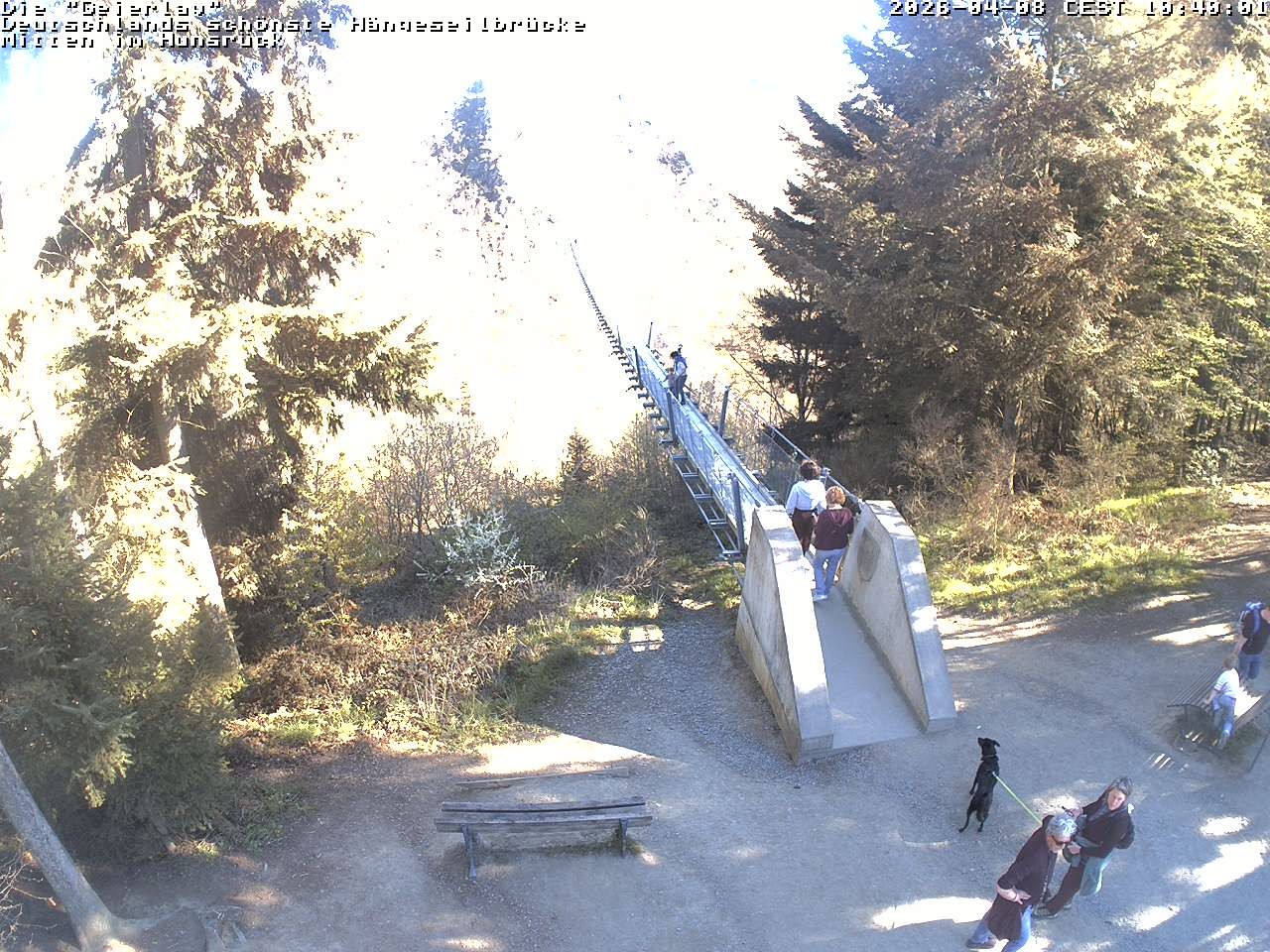 Archiv Foto Webcam Hängebrücke Geierlay bei Mörsdorf