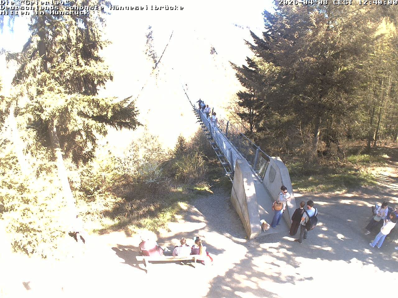 Archiv Foto Webcam Hängebrücke Geierlay bei Mörsdorf