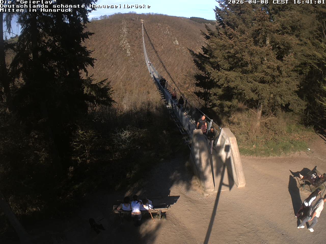 Archiv Foto Webcam Hängebrücke Geierlay bei Mörsdorf