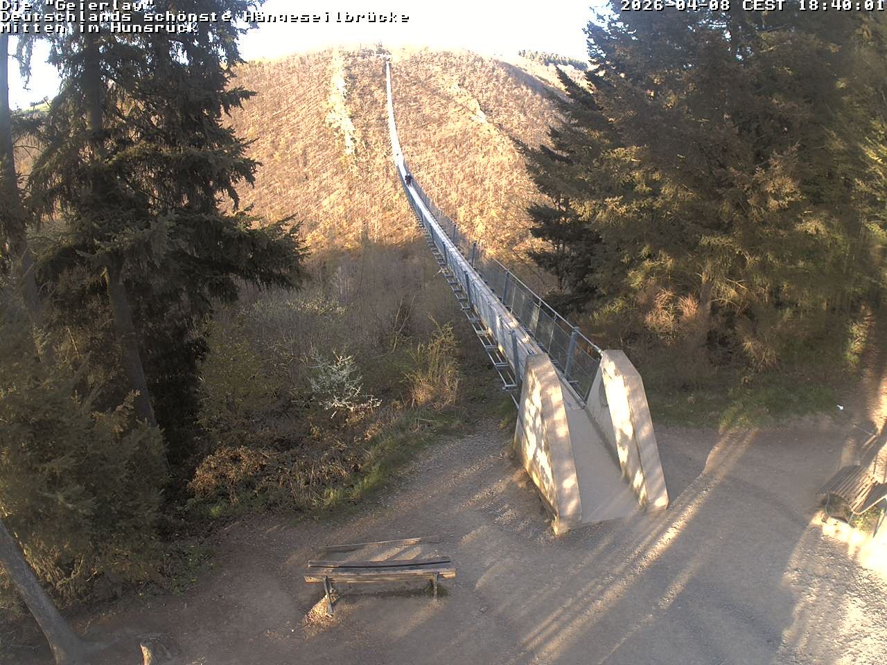 Archiv Foto Webcam Hängebrücke Geierlay bei Mörsdorf